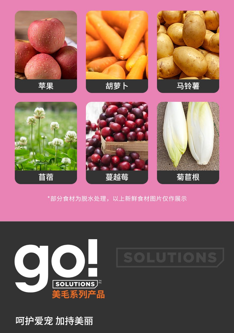 Go!-Solutions美毛系列鸡肉配方猫粮_05